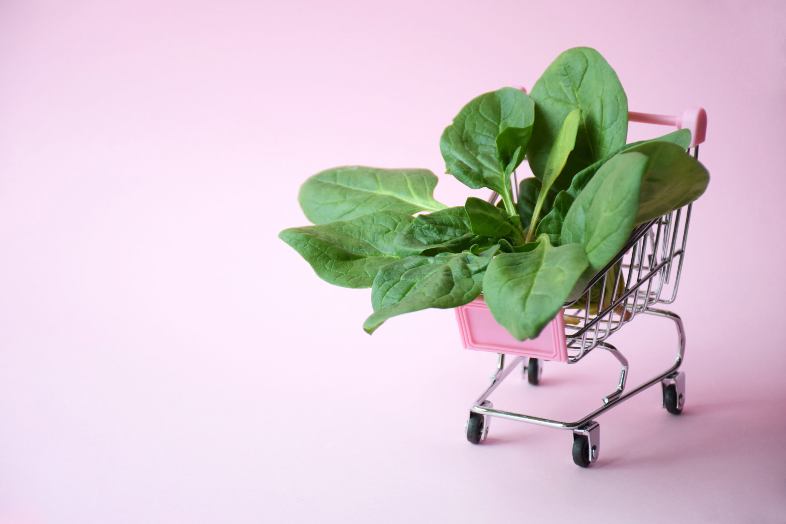 Shoppingkurv med grønne produkter, der illustrere greenwashing