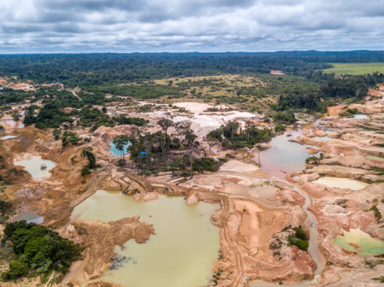 Amazonfloden - en flod i hjertet af regnskoven - Verdens Skove