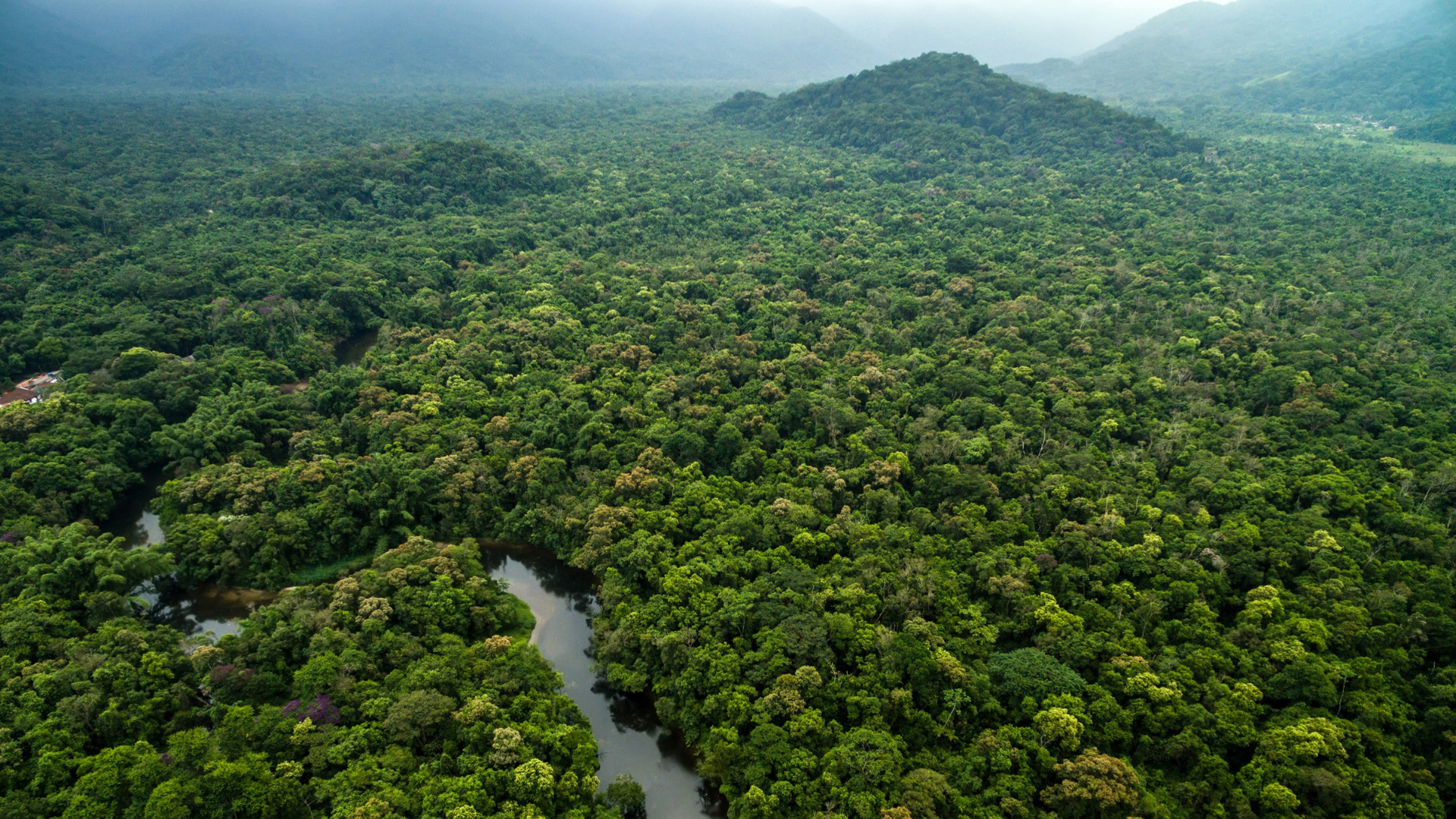 Verdens største flod i Amazonas, der fylder det meste af billedet og strækker sig langt mod horisonten.