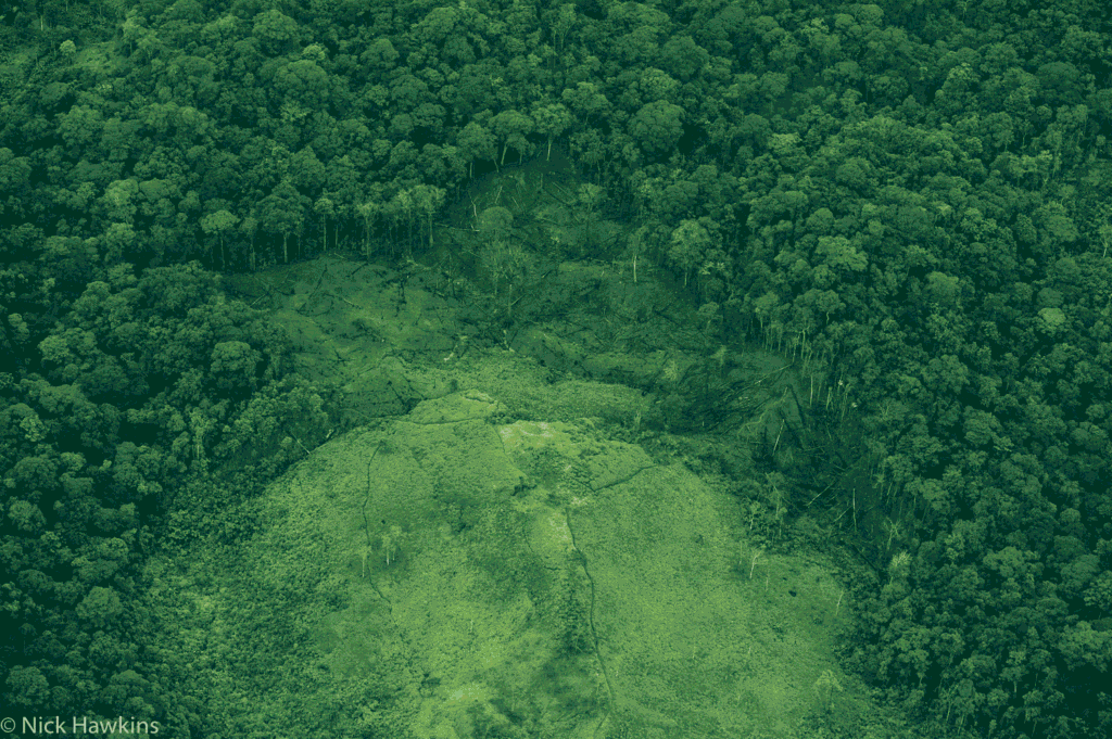 Nicaragua Indio Maiz