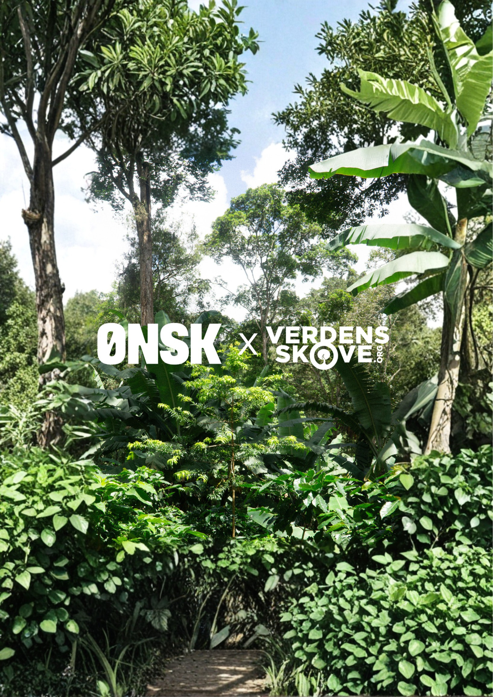 Verdens Skove x Ønsk