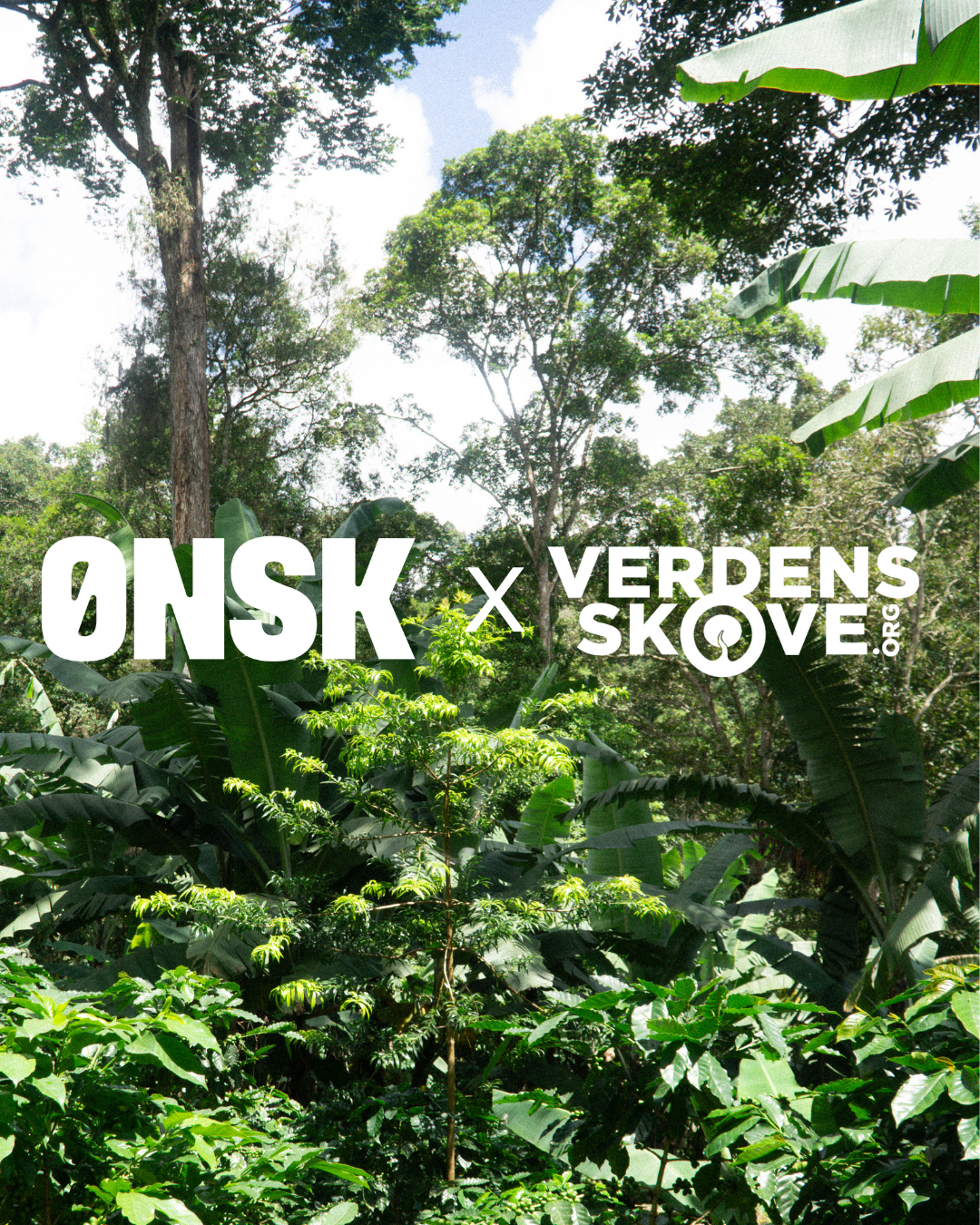 Verdens Skove x Onsk Kaffe