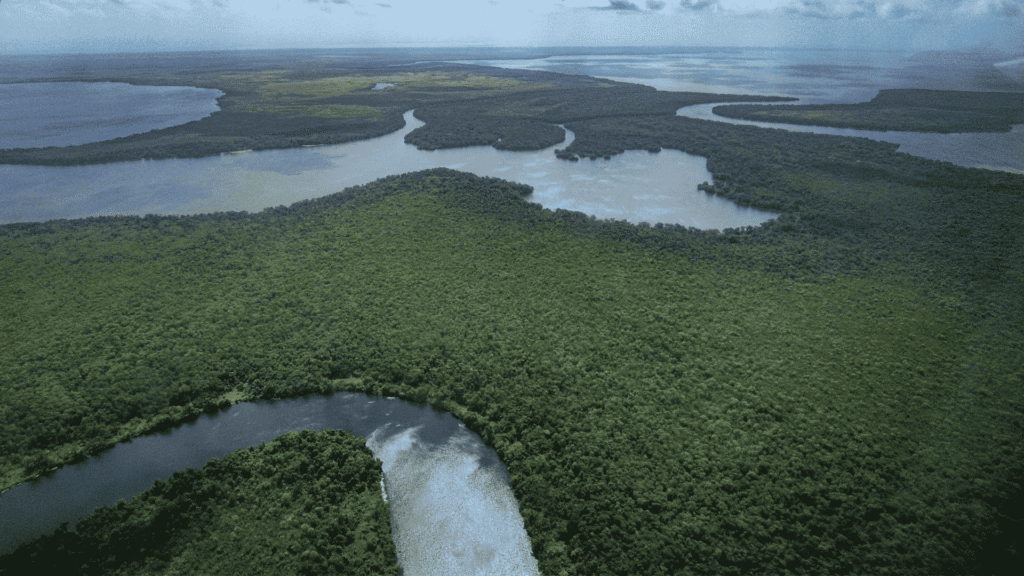 La Moskitia from above. Honduras 2026